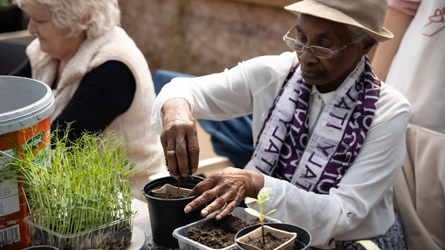 A photo of two older women potting plants in the Albany polytunnel.
