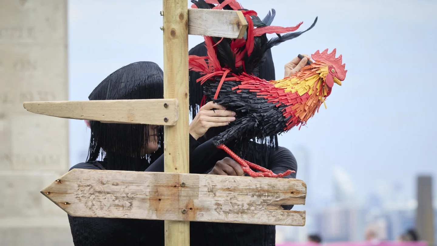 rooster
