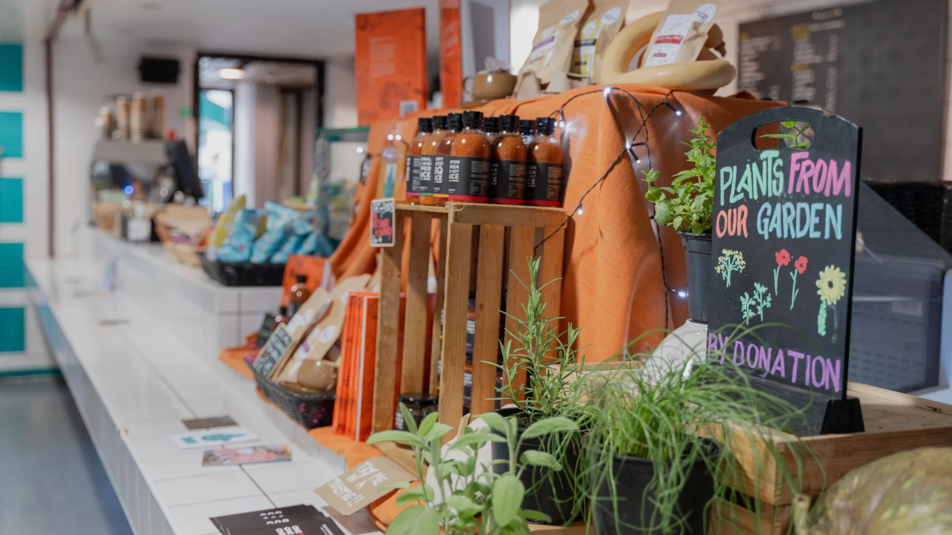 A photo of the counter in the Albany cafe. It has white tiles with snacks, chutneys and pots of herbs displayed on it. A small black board has 'Plants from the garden by donation' written on it in coloured chalk.