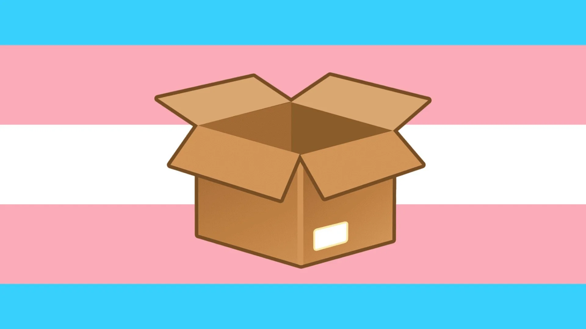 An illustration of an open box with the trans flag behind it.