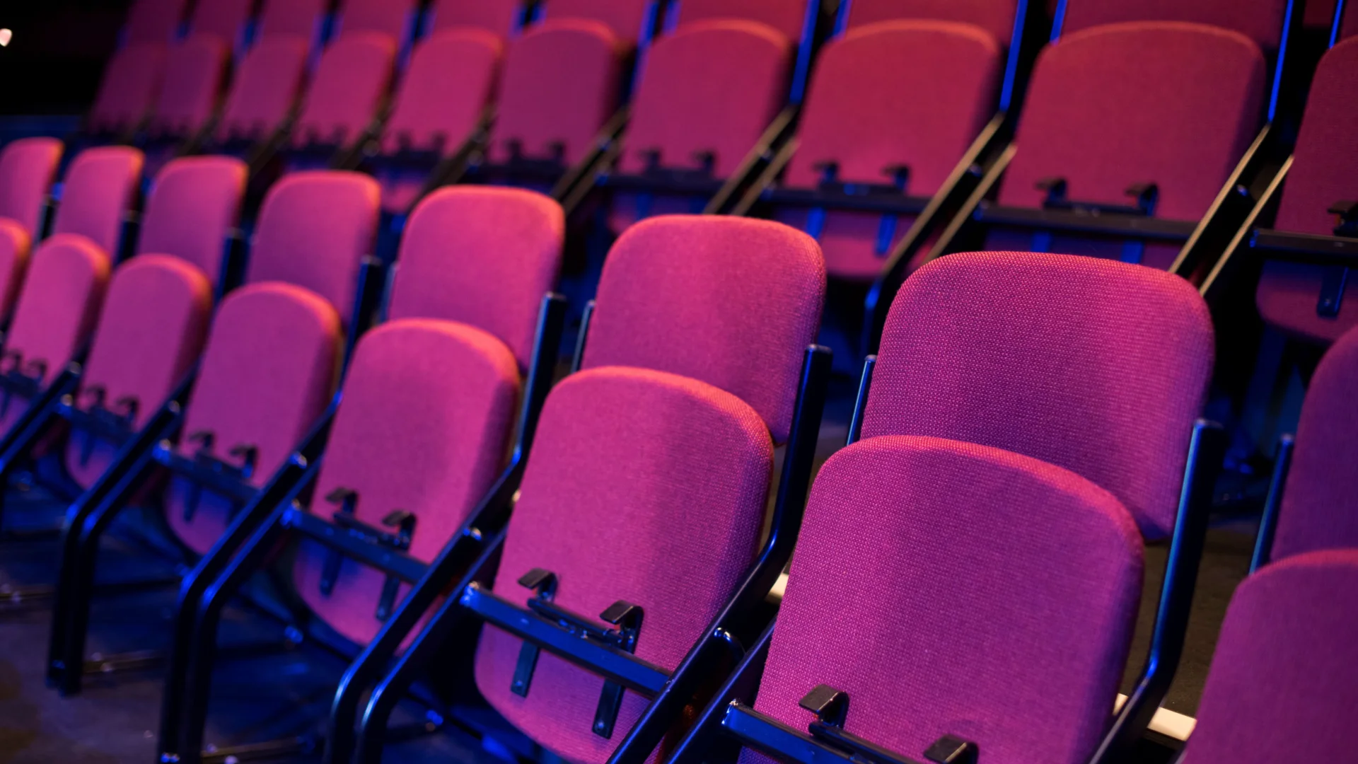 A row of pink flip chairs at the Albany.