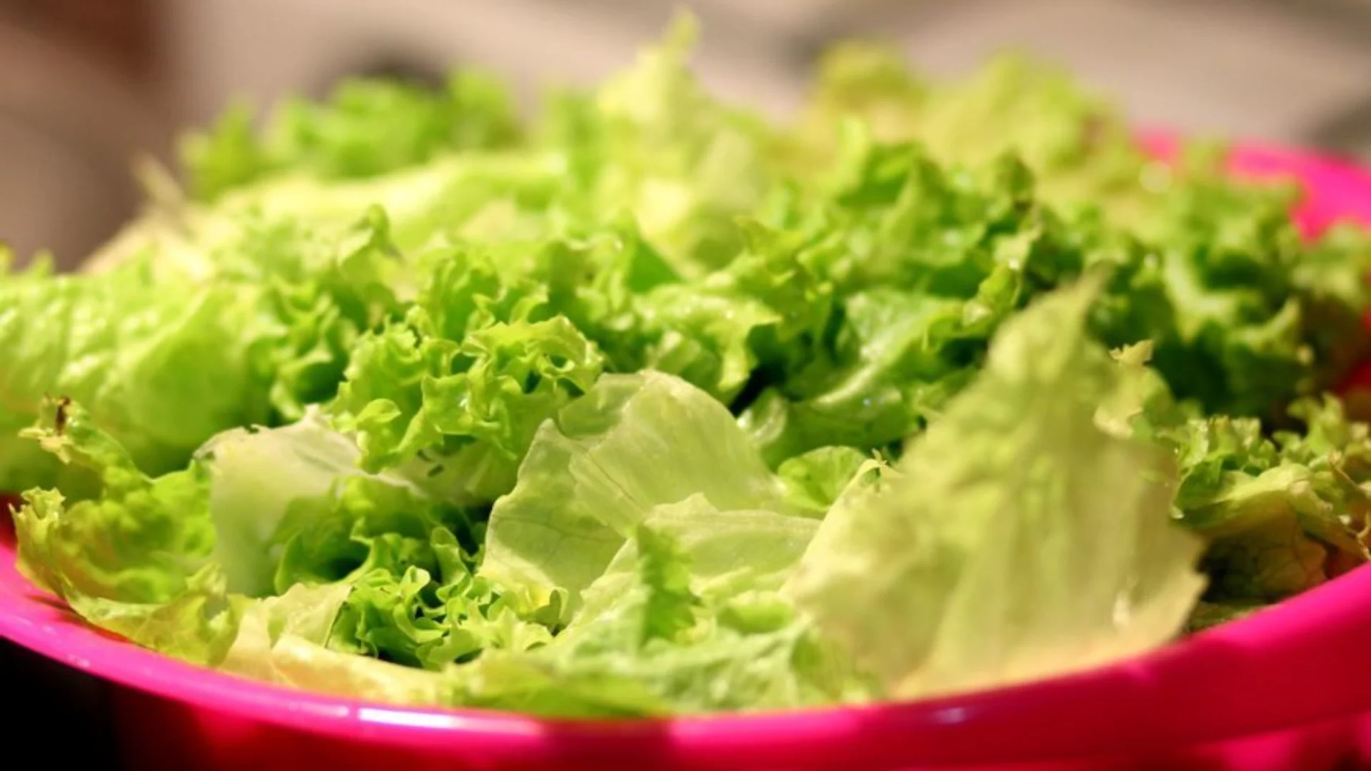 A photo of green lettuce leaves in a pink bowl.
