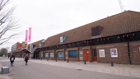 A photograph of the Albany building from Douglas Way. It is a squat, red brick building with posters along the walls and pink flags above the entrance.