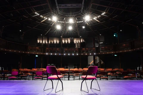 A photograph of the Albany theatre, with two empty chairs facing out towards rows of more empty chairs.