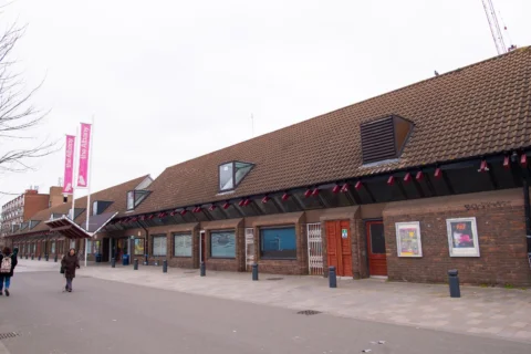 A photograph of the Albany building from Douglas Way. It is a squat, red brick building with posters along the walls and pink flags above the entrance.