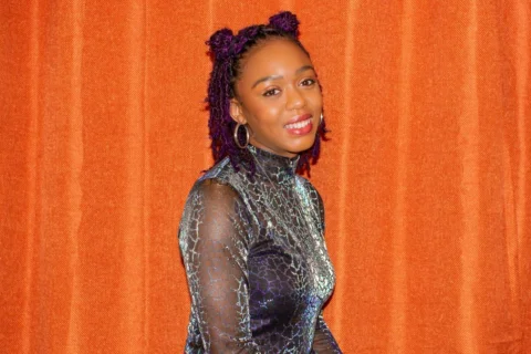 A smiling person with purple hair in a stylish updo of two small buns on top of their head, wears a shimmering, patterned dress. They stand against an orange curtain backdrop, exuding confidence.