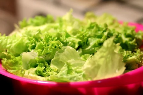 A photo of green lettuce leaves in a pink bowl.